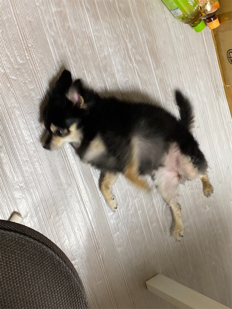 f:id:akie1000:20190925112402j:image