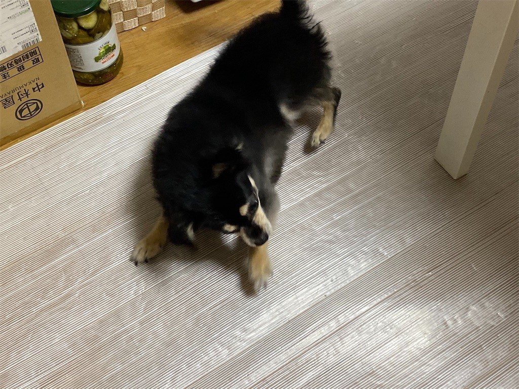 f:id:akie1000:20190925112430j:image