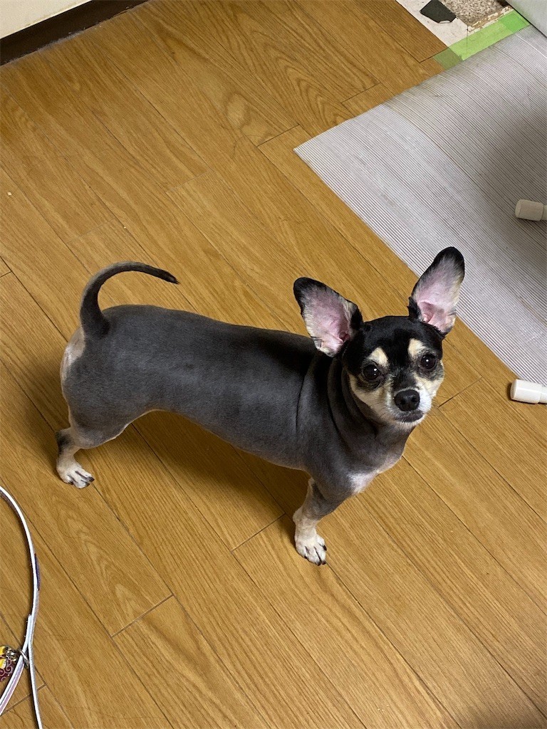 f:id:akie1000:20191001090918j:image
