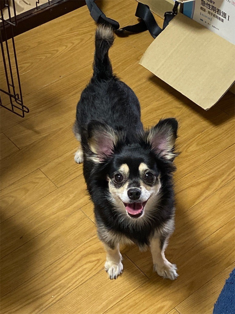 f:id:akie1000:20191001091458j:image