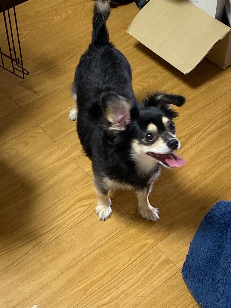 f:id:akie1000:20191001091502j:image