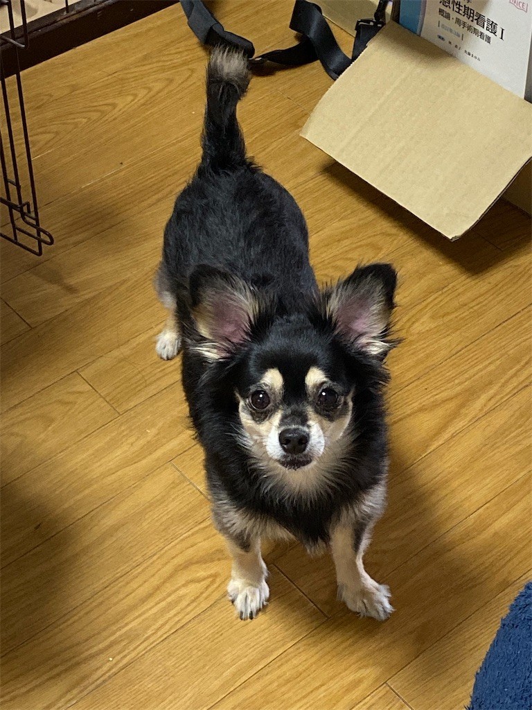 f:id:akie1000:20191001091506j:image