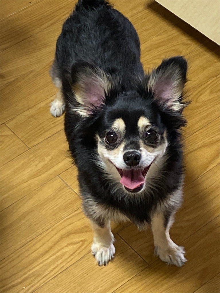 f:id:akie1000:20191001091510j:image