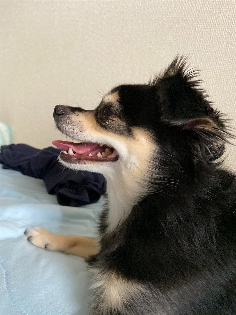 f:id:akie1000:20191001092304j:image