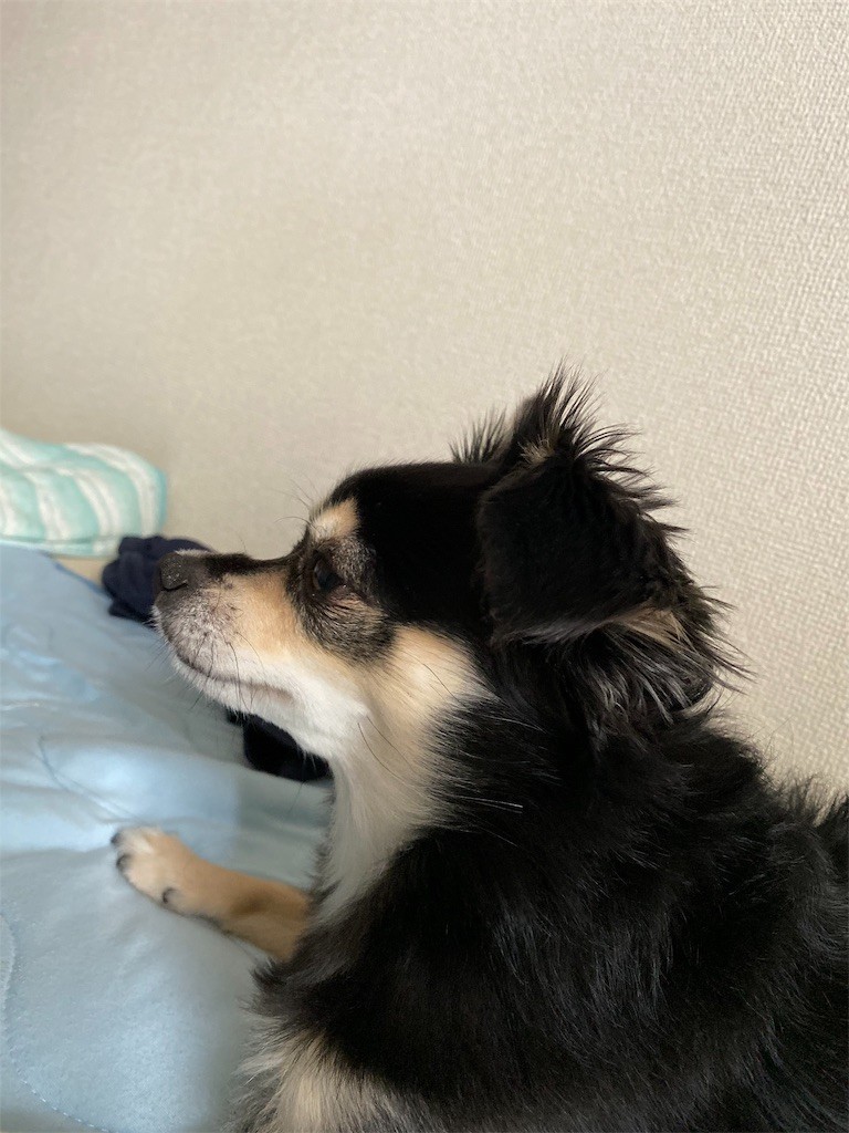 f:id:akie1000:20191001092308j:image