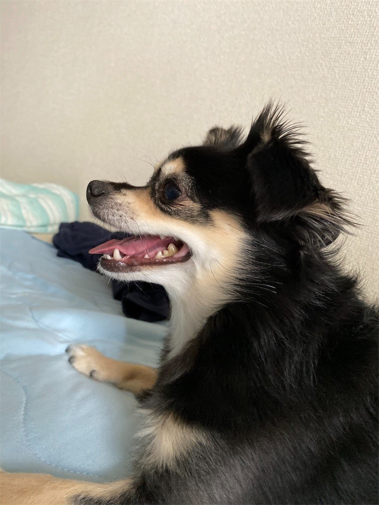 f:id:akie1000:20191001092324j:image