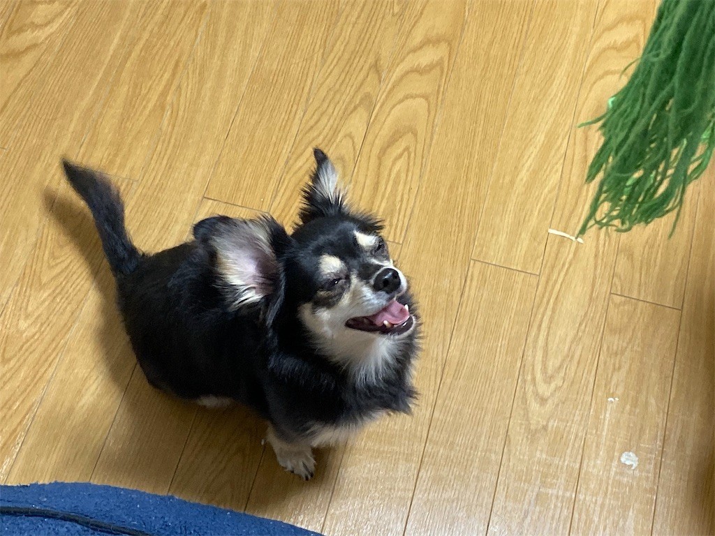 f:id:akie1000:20191001094350j:image
