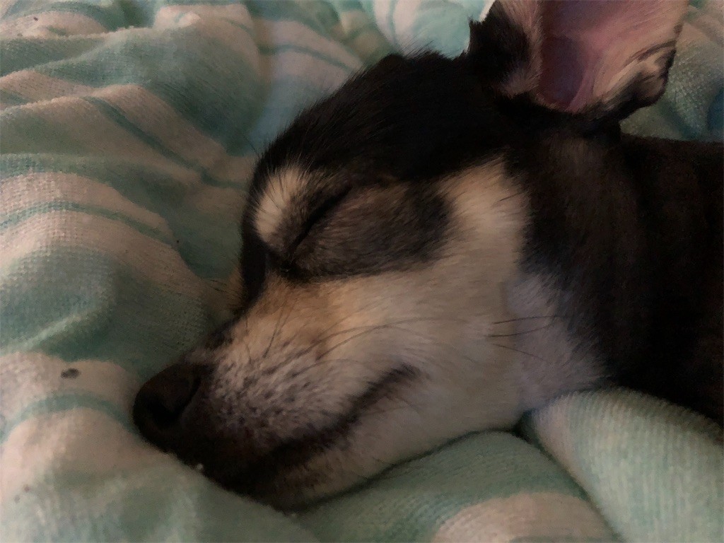 f:id:akie1000:20191109203635j:image