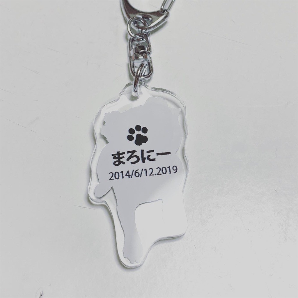 f:id:akie1000:20191117090210j:image