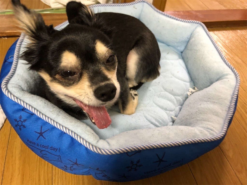 f:id:akie1000:20191117232255j:image