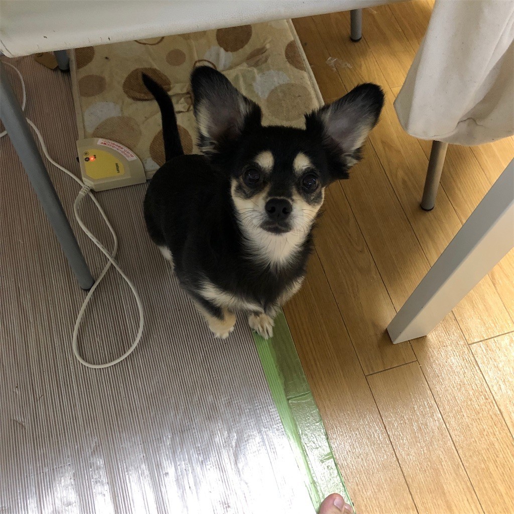 f:id:akie1000:20191124201538j:image