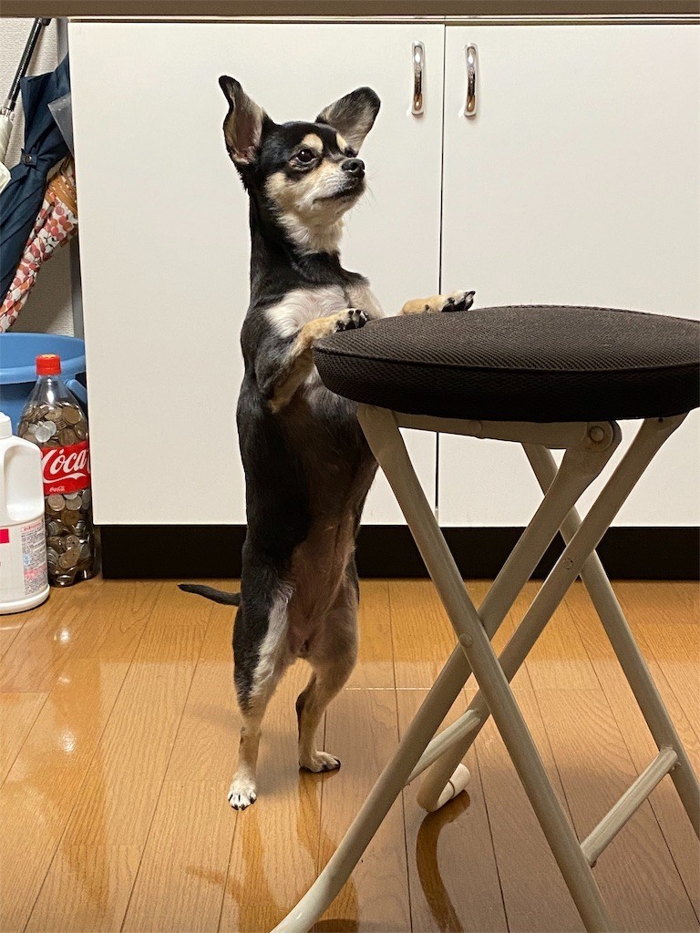 f:id:akie1000:20191231172512j:image