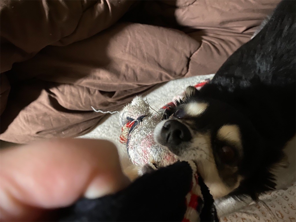 f:id:akie1000:20200209210952j:image