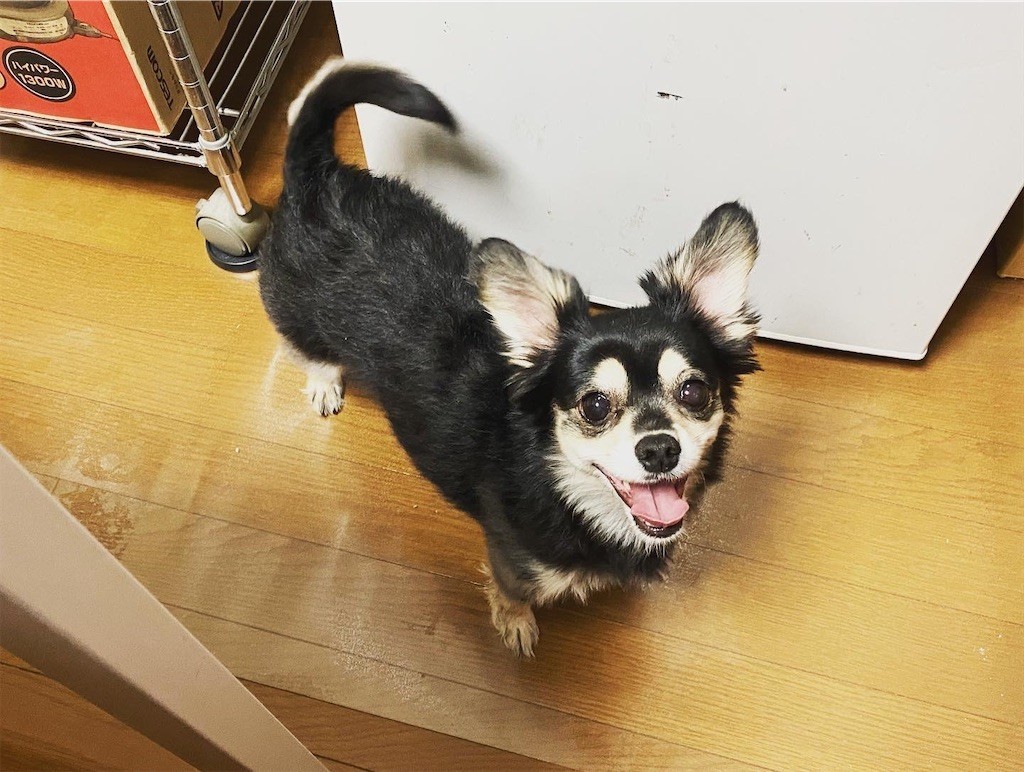 f:id:akie1000:20200227220139j:image