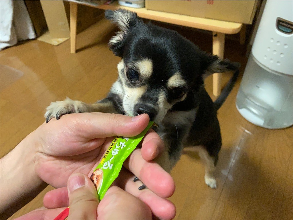 f:id:akie1000:20200612231330j:image