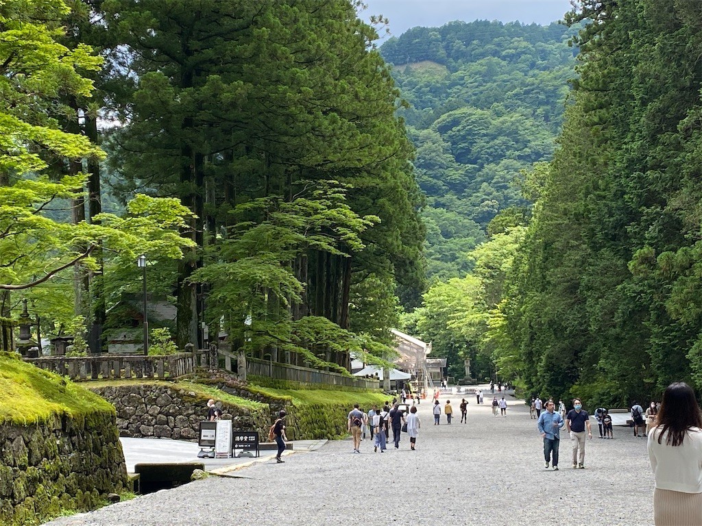 f:id:akie1000:20200620221837j:image