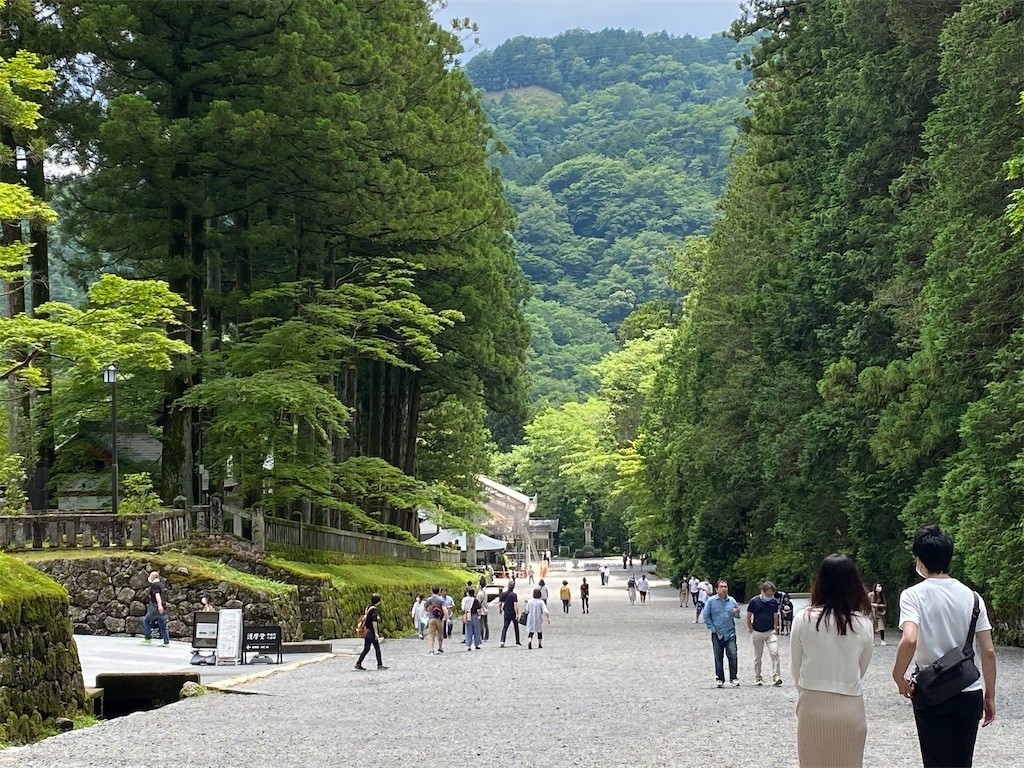 f:id:akie1000:20200620221908j:image