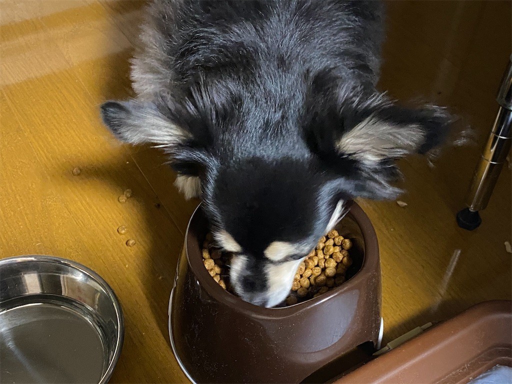 f:id:akie1000:20201201224612j:plain