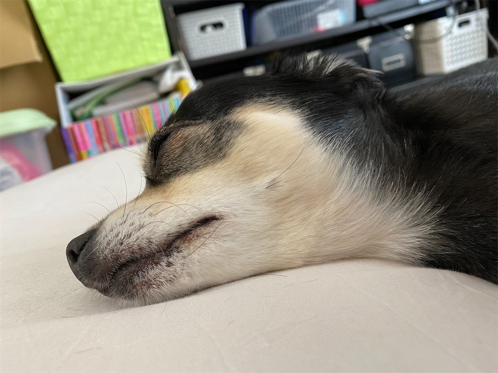 f:id:akie1000:20210630222637j:plain