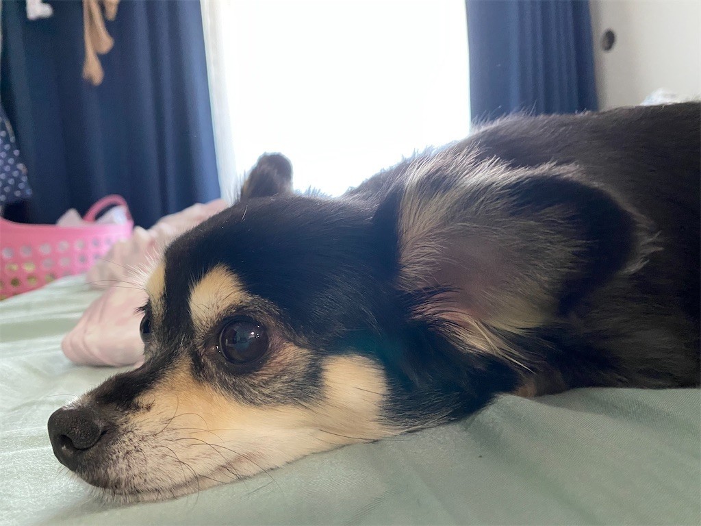 f:id:akie1000:20210723001236j:plain