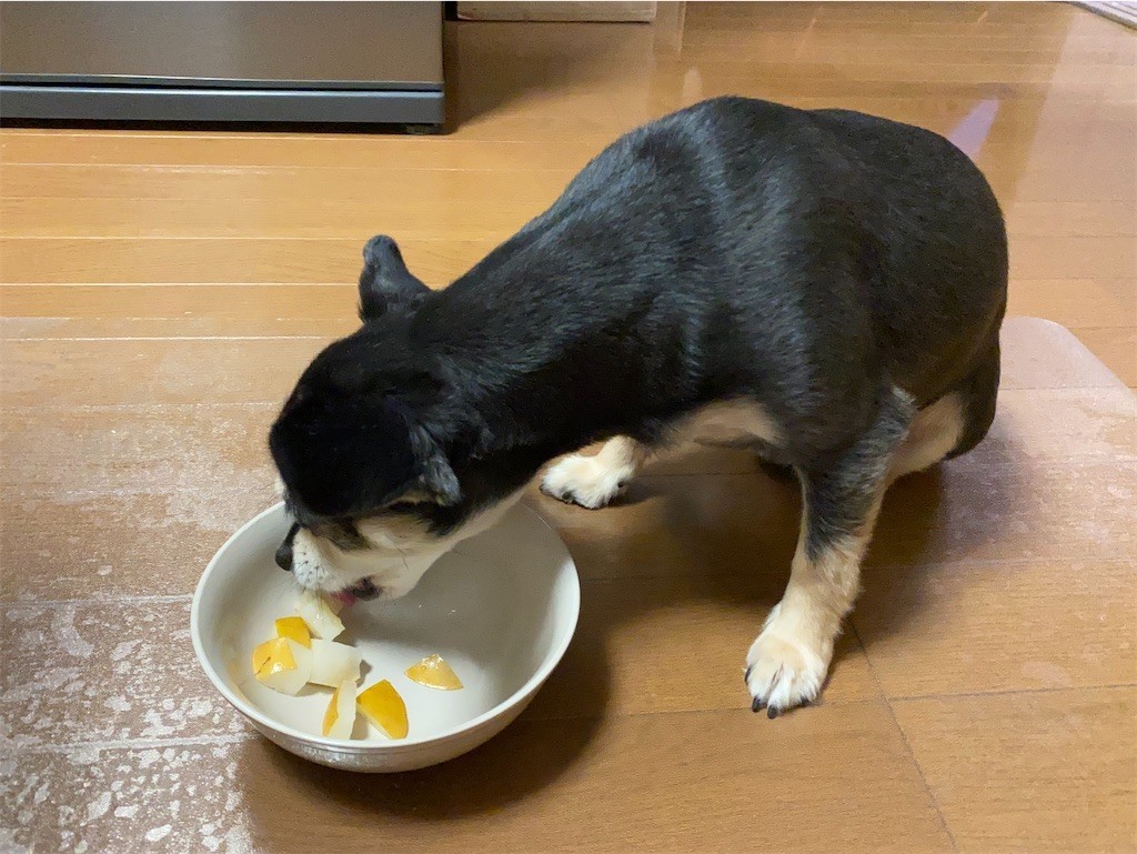 f:id:akie1000:20210918223355j:plain