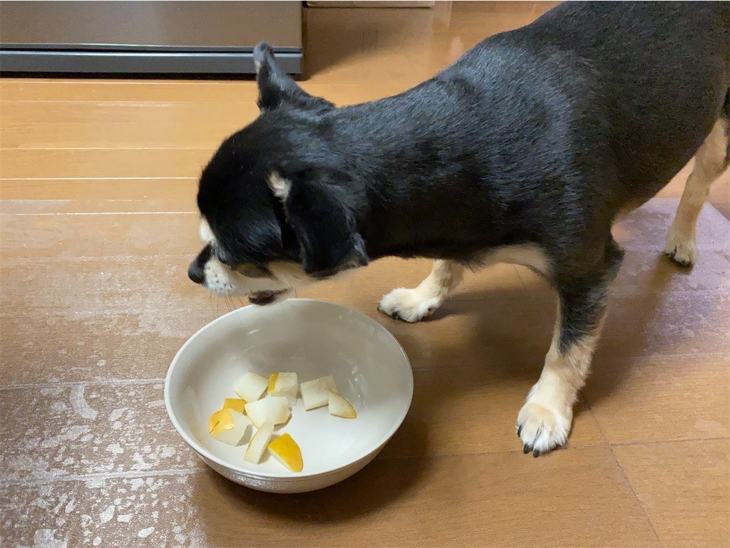 f:id:akie1000:20210918223401j:plain