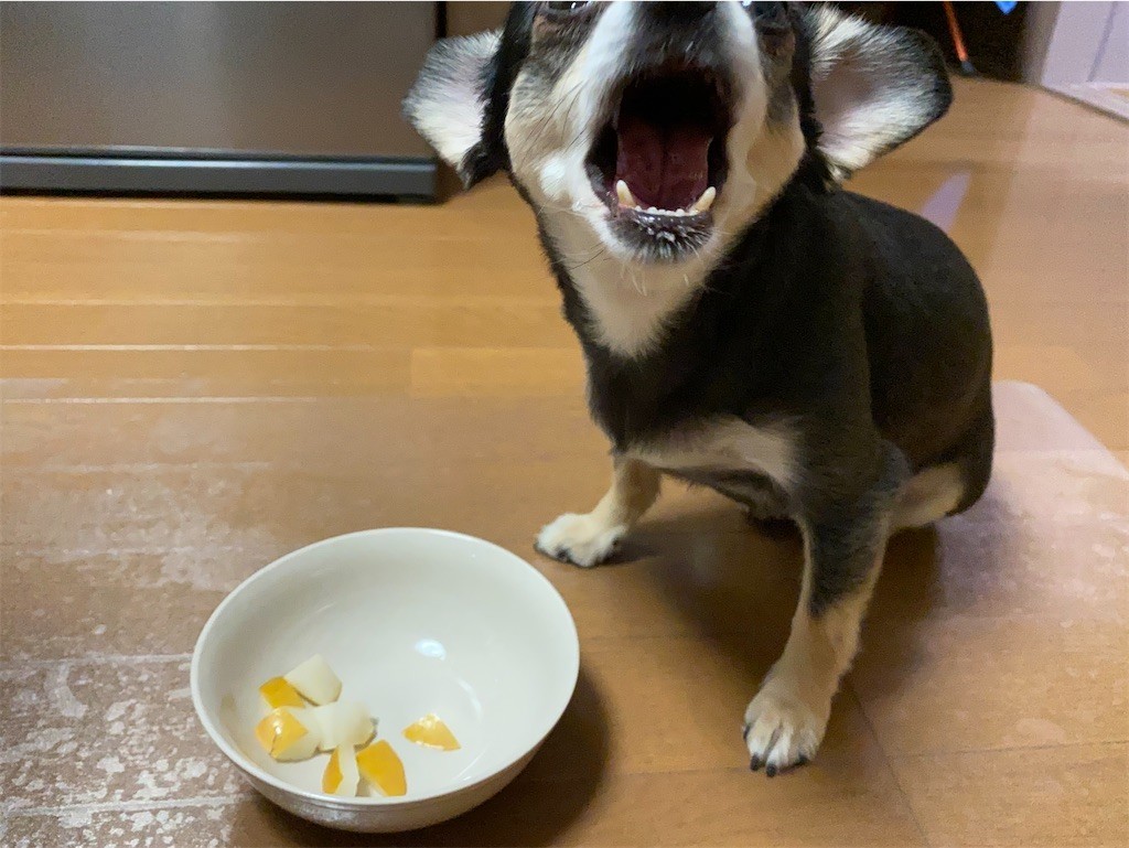 f:id:akie1000:20210918223406j:plain