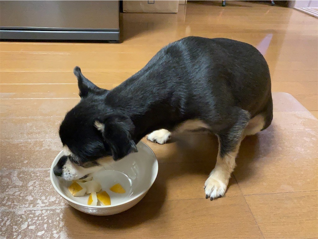 f:id:akie1000:20210918223408j:plain