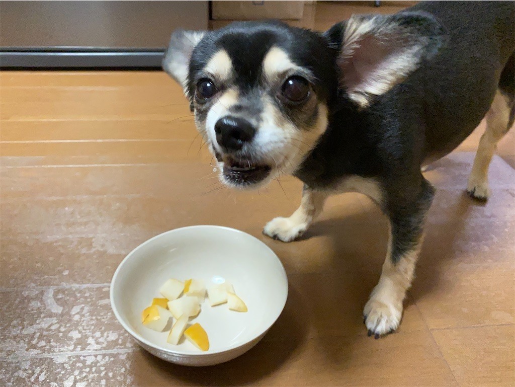 f:id:akie1000:20210918223411j:plain