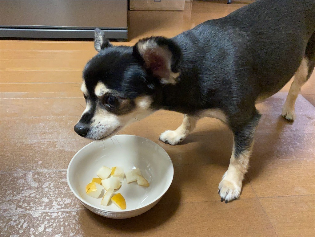 f:id:akie1000:20210918223414j:plain