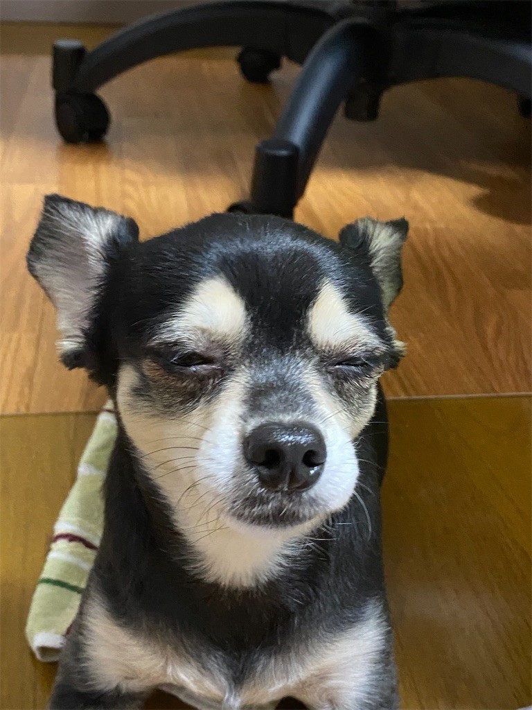 f:id:akie1000:20210918223416j:plain