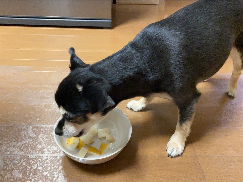 f:id:akie1000:20210918223419j:plain