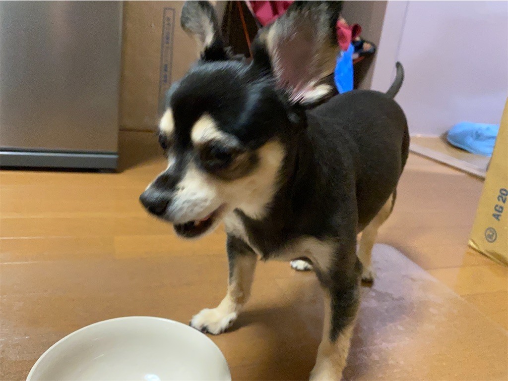 f:id:akie1000:20210918223421j:plain