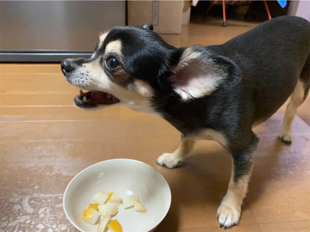 f:id:akie1000:20210918223424j:plain