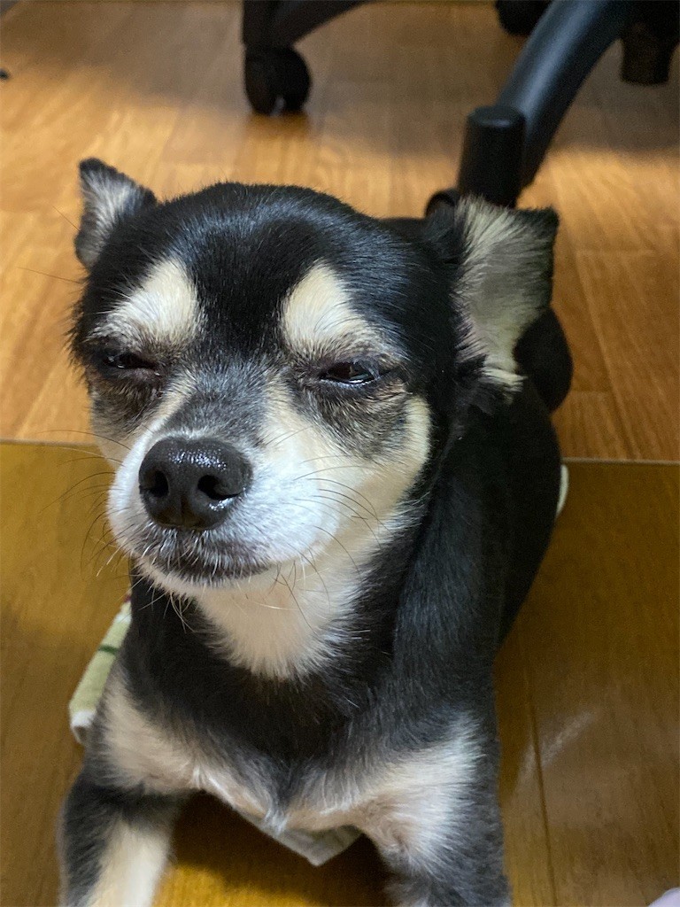 f:id:akie1000:20210918223426j:plain