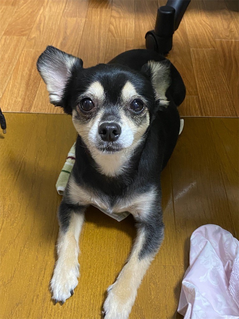 f:id:akie1000:20210918223429j:plain