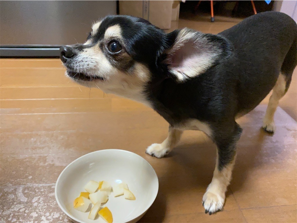 f:id:akie1000:20210918223431j:plain