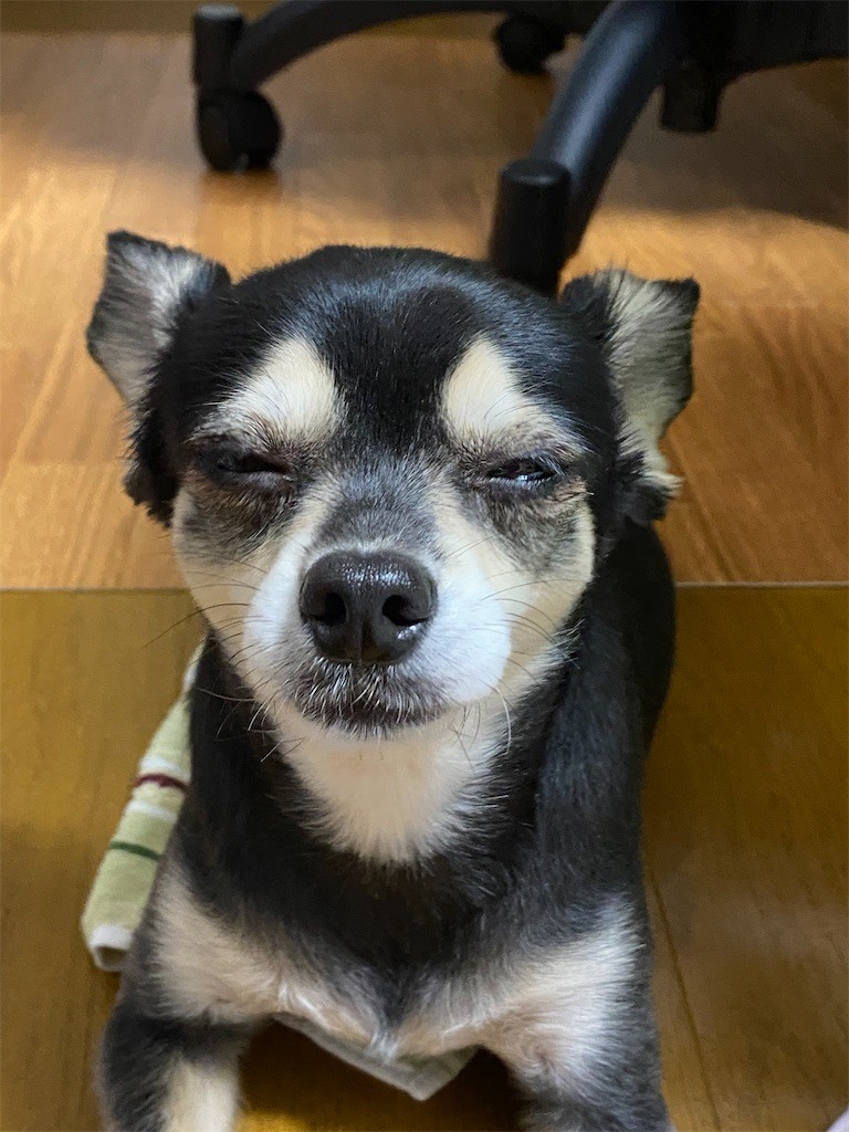 f:id:akie1000:20210918223435j:plain