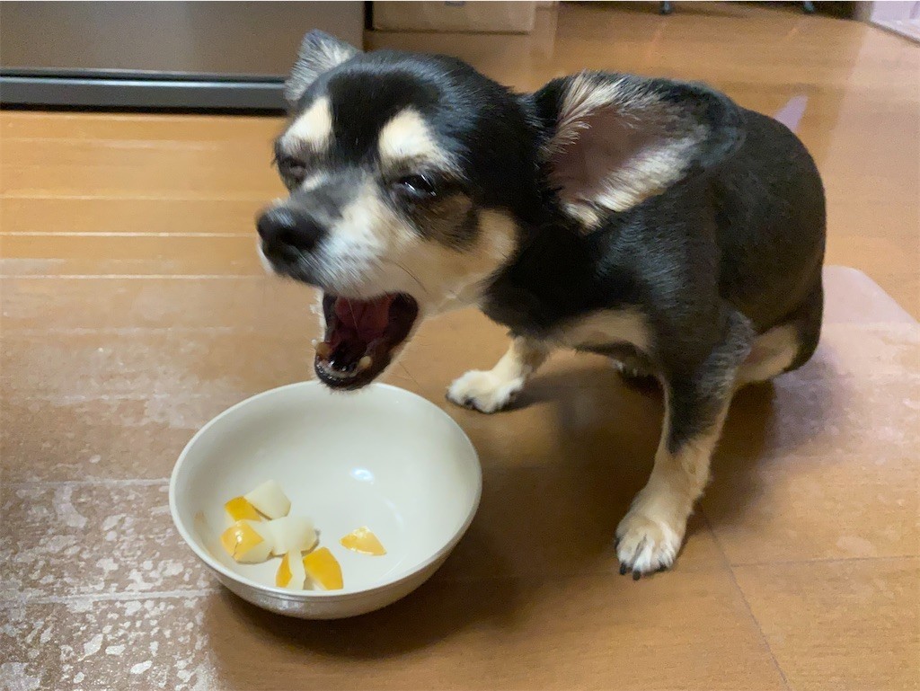 f:id:akie1000:20210918223437j:plain