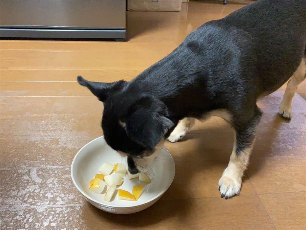 f:id:akie1000:20210918223439j:plain