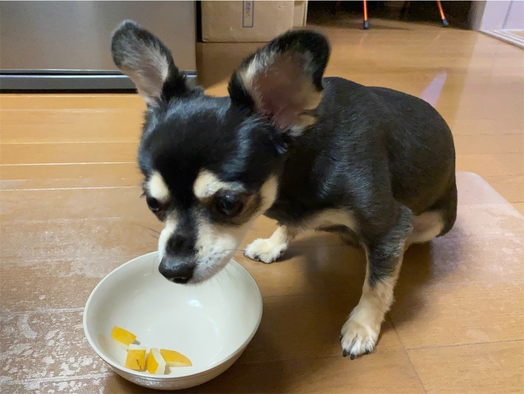 f:id:akie1000:20210918223442j:plain