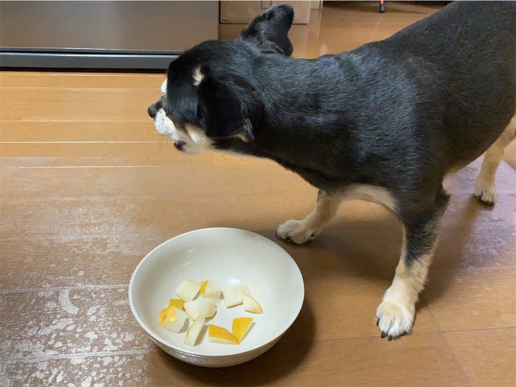 f:id:akie1000:20210918223445j:plain