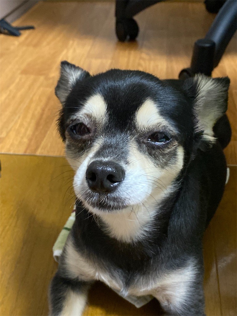 f:id:akie1000:20210918223448j:plain