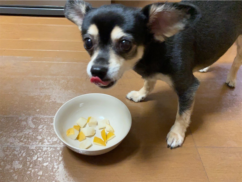 f:id:akie1000:20210918223452j:plain