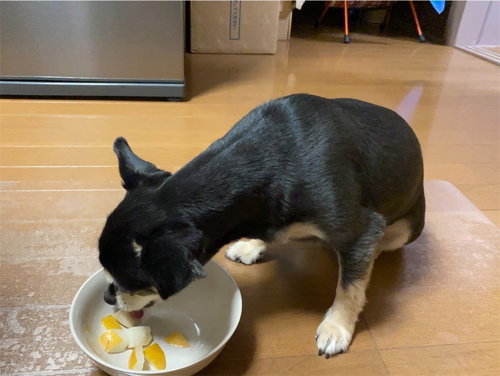 f:id:akie1000:20210918223458j:plain