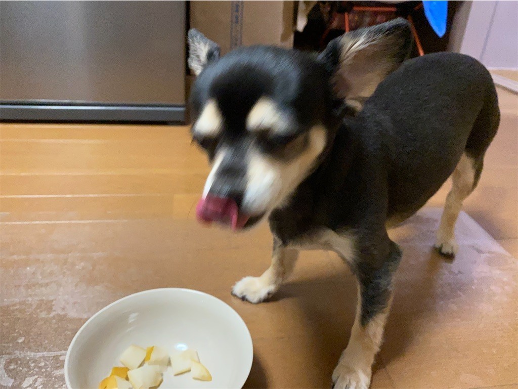 f:id:akie1000:20210918223500j:plain