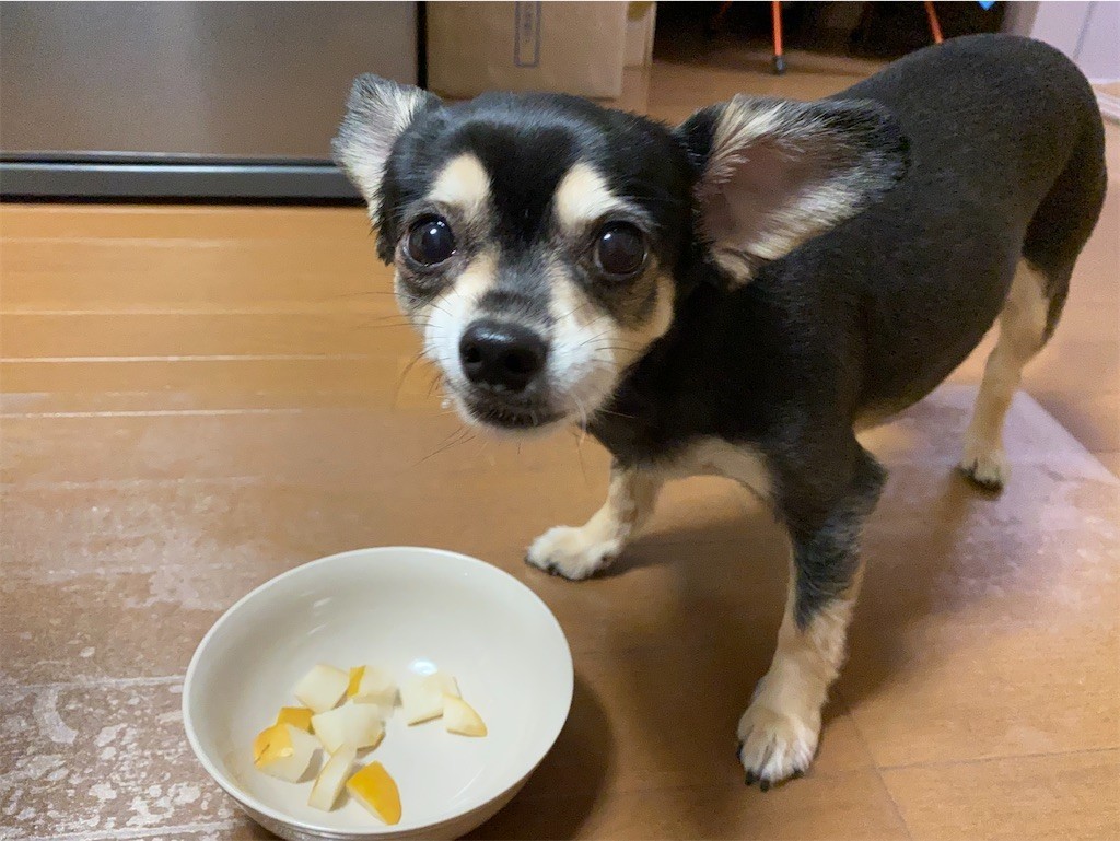 f:id:akie1000:20210918223504j:plain