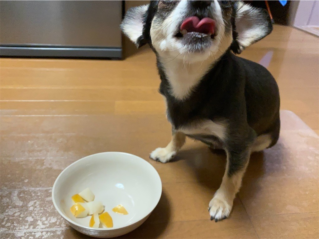 f:id:akie1000:20210918223510j:plain