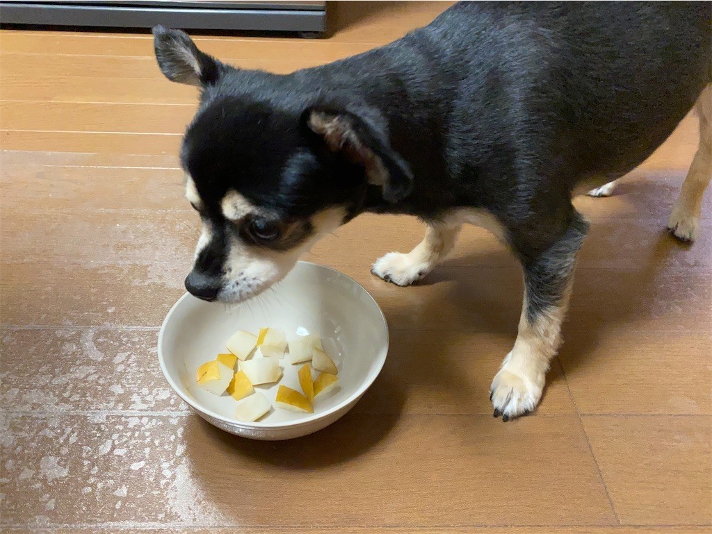 f:id:akie1000:20210918223513j:plain