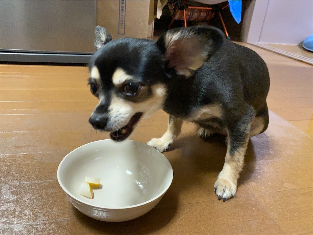 f:id:akie1000:20210918223526j:plain